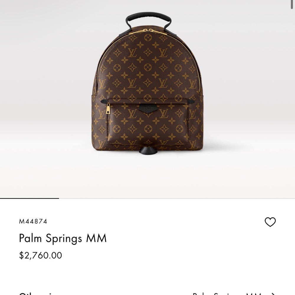 Louis Vuitton Palm Springs MM Brown Backpack